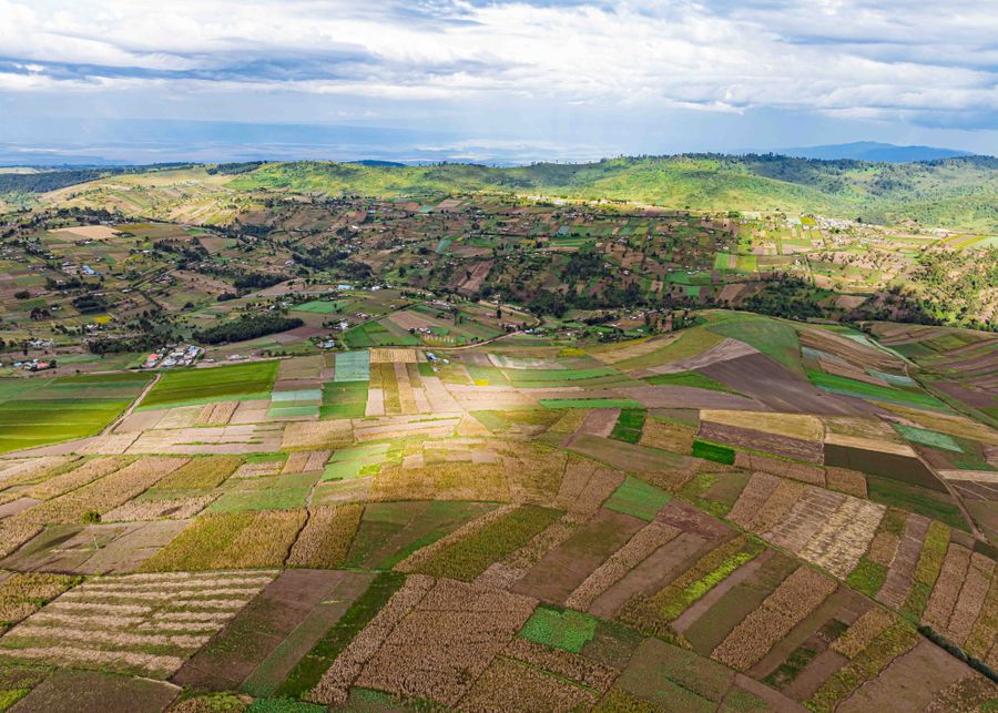 Aerial view of patchwork farmland